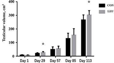 Effects of dietary L-leucine supplementation on testicular development and semen quality in boars